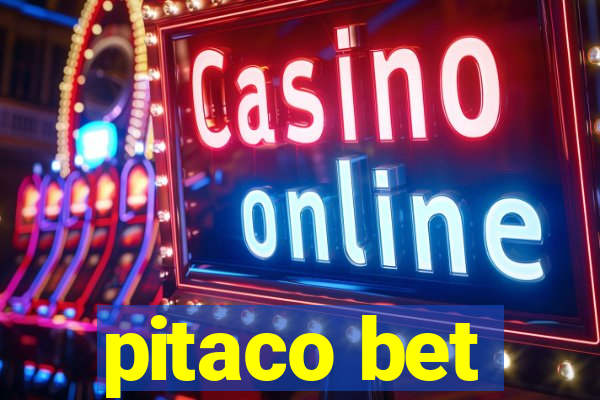 pitaco bet